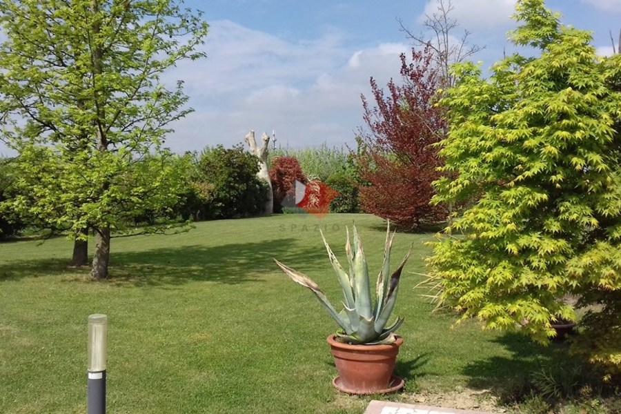 20170416_112441 - Schiera Bifamiliare Martellago (VE) OLMO, CENTRO 