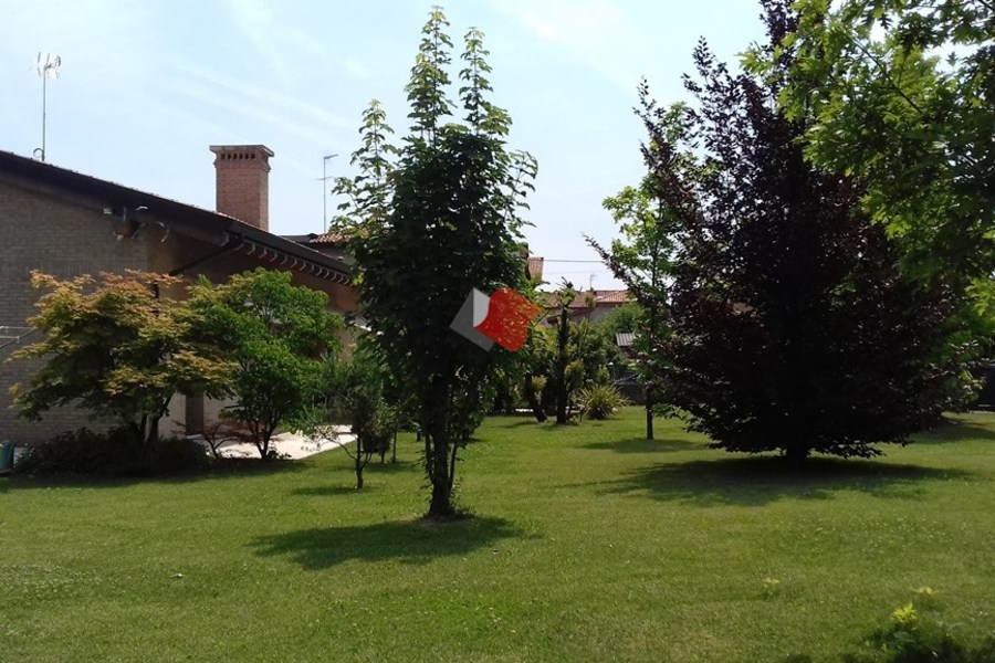 20170610_115924 - Schiera Bifamiliare Martellago (VE) OLMO, CENTRO 