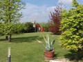 Schiera Bifamiliare Martellago (VE) OLMO, CENTRO 