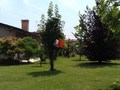 Schiera Bifamiliare Martellago (VE) OLMO, CENTRO 